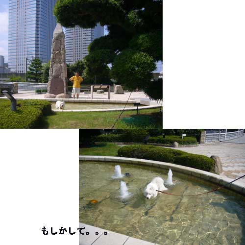 e0018604_1344455.jpg
