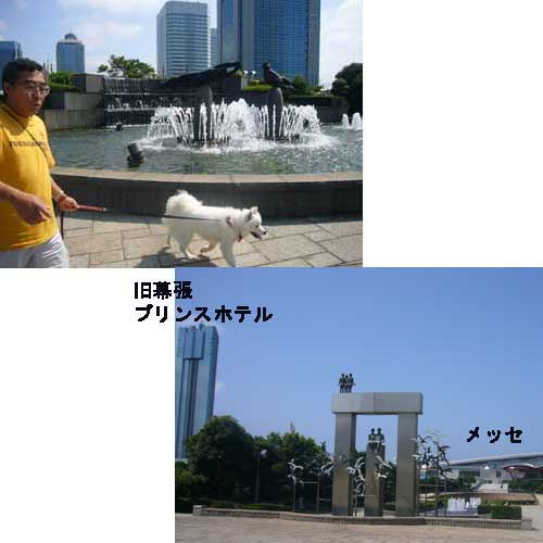 e0018604_1452810.jpg