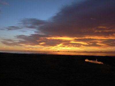 e0024206_8373953.jpg