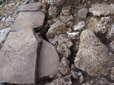 e0024206_8391312.jpg
