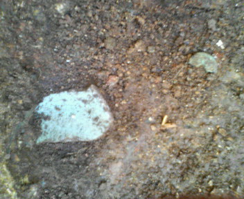 e0024206_8494366.jpg