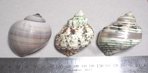 a0043512_2225157.jpg