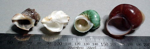 a0043512_2231258.jpg