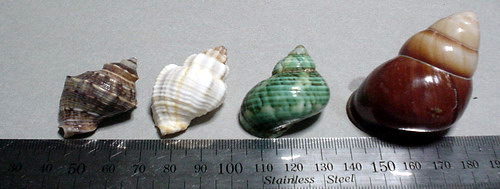 a0043512_223655.jpg