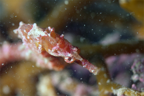 c0024719_23161426.jpg