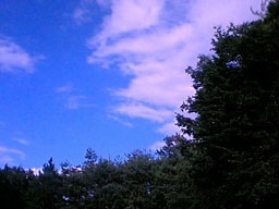 e0045319_016398.jpg