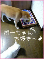 c0060620_17445325.jpg