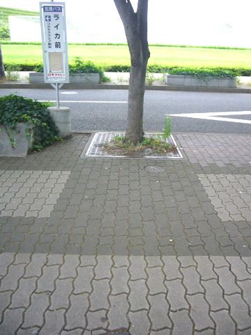 f0100920_975145.jpg