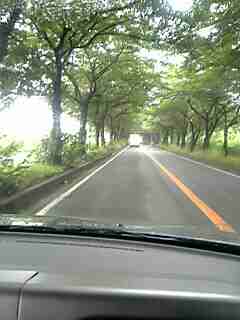 f0084723_1216367.jpg