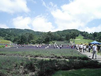 f0022024_21322155.jpg