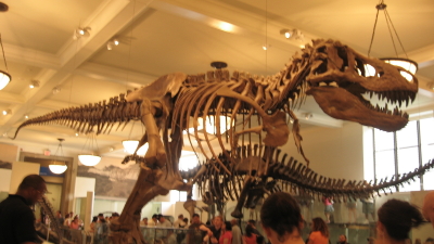 f0028125_1237563.jpg
