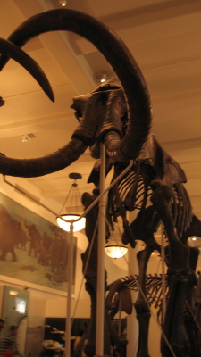 f0028125_12473349.jpg