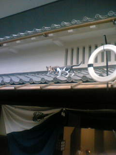 f0084048_1494182.jpg
