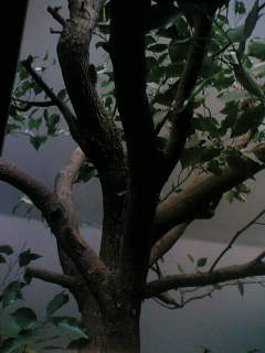 f0084048_1524451.jpg
