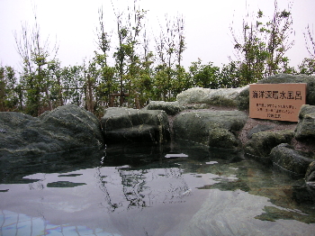 a0003150_1111316.jpg
