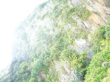 b0010652_21275712.jpg