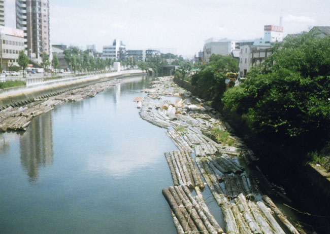 a0017257_20125052.jpg