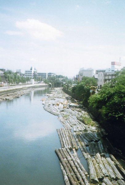 a0017257_20132490.jpg
