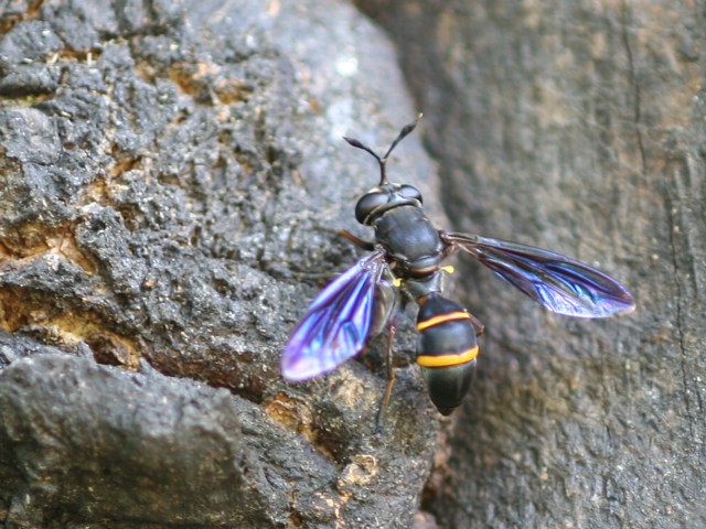 b0088772_2150192.jpg