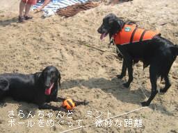 d0070289_20514648.jpg