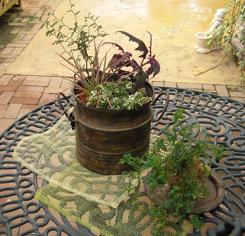 f0054197_1113576.jpg