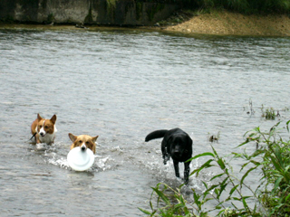 f0077097_1614065.jpg