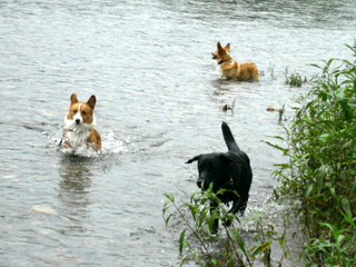 f0077097_162111.jpg