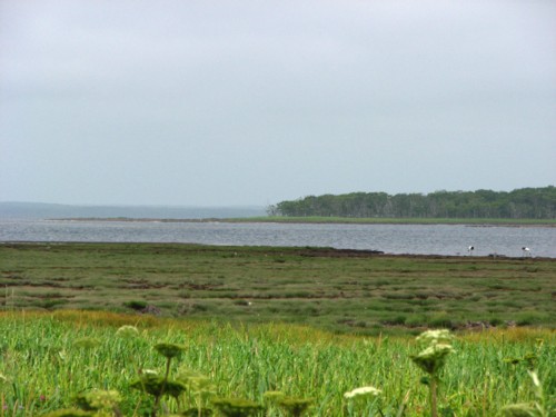 f0020302_12244062.jpg