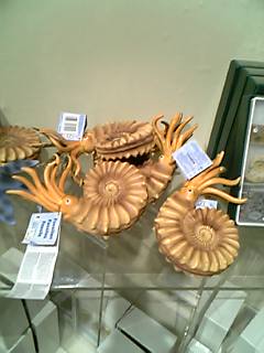 a0021608_2333745.jpg