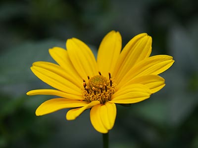 a0041508_2040238.jpg