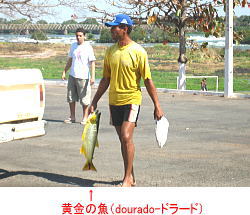 e0028810_6594176.jpg