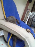 c0003217_11531818.jpg