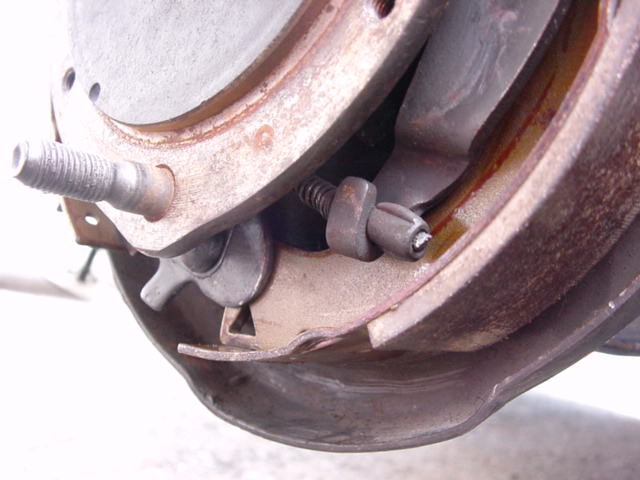 c0007818_19542.jpg