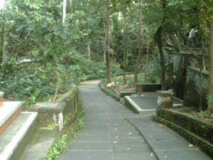 d0038319_10593197.gif