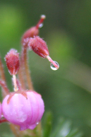 e0001123_22242579.jpg