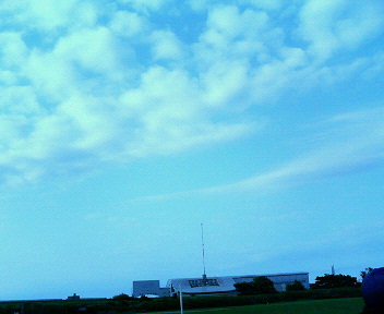c0038524_18918.jpg