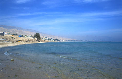 b0006449_2132414.jpg