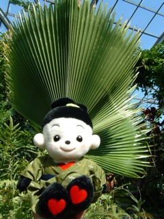 f0050651_22185426.jpg