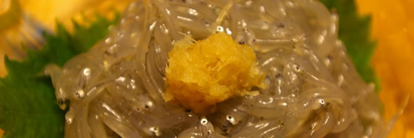 c0062361_23325335.jpg