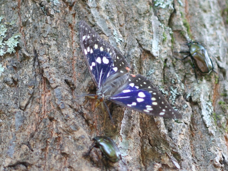 b0088772_20365163.jpg