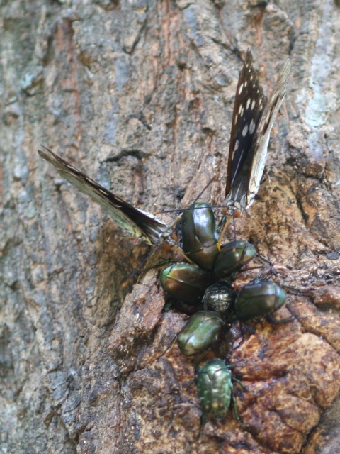 b0088772_20371845.jpg