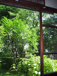 b0073782_17385839.jpg
