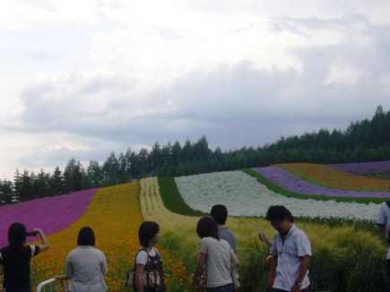 f0029393_1150173.jpg