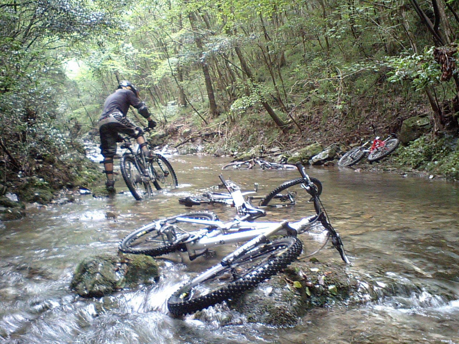b0092694_22202927.jpg