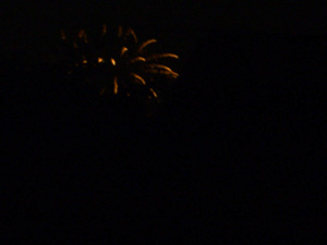 d0000995_0212415.gif