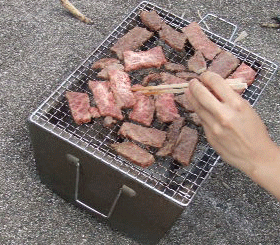 e0050801_1553571.gif