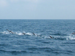 f0048405_1483278.jpg