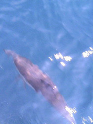 f0048405_1485990.jpg