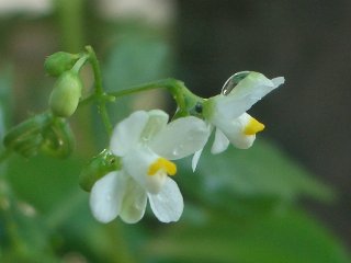 b0061107_23475776.jpg