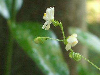 b0061107_23483089.jpg